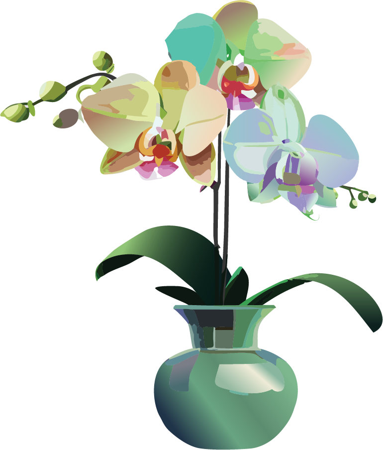 Orchid plant avatar