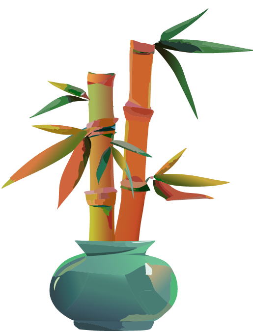 Taller, fuller bamboo plant