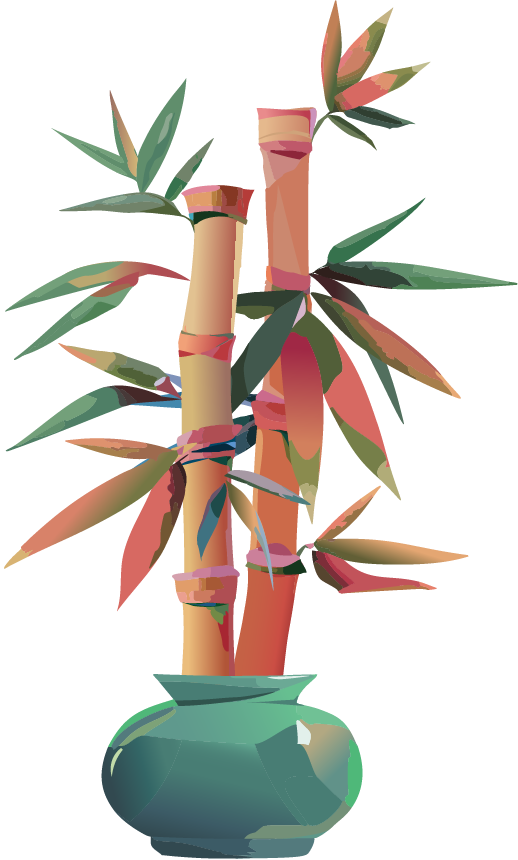 Tall, lush, fully grown bamboo plant