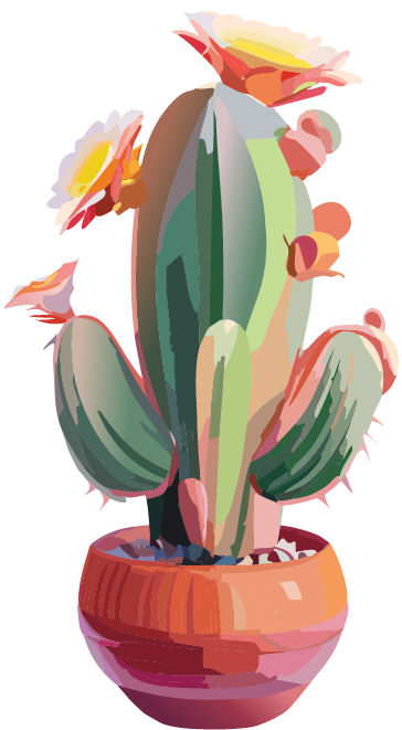 Healthy, flowering cactus