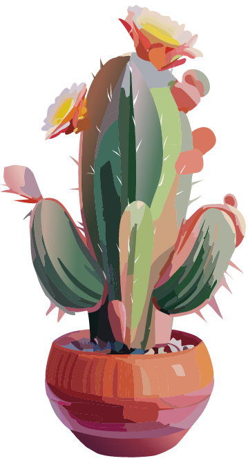 Cactus with fewer flowers
