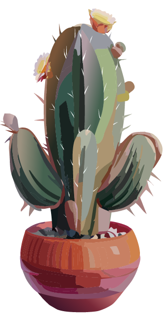 Cactus with even fewer flowers