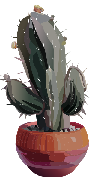 Dry, thorny cactus with no flowers